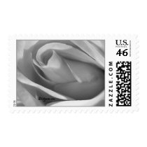 Silver Grey Rose Wedding Postage