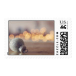 Silver Holiday stamps