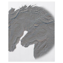 Silver Horses flyers