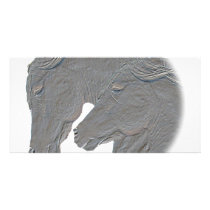 Silver Horses photo cards
