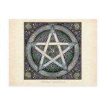 Silver Knotwork Pentacle Postcard