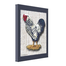 Silver Laced Wyandotte Rooster Barnboards Stretched Canvas Print