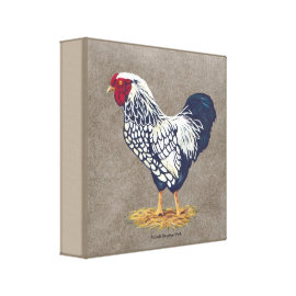 Silver Laced Wyandotte Rooster Gallery Wrapped Canvas