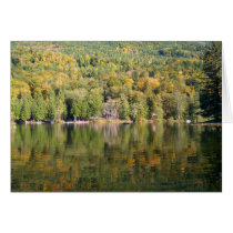 Silver Lake Cards