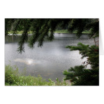 Silver Lake Framed by Evergreen Boughs cards by BlueSkiesGallery Silver Lake Framed by Evergreen Boughs cards