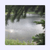 Silver Lake Framed by Evergreen Boughs magnets