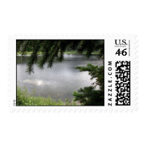 Silver Lake Framed by Evergreen Boughs Postage Stamps