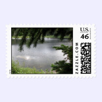 Silver Lake Framed by Evergreen Boughs postage