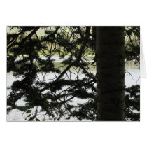 Silver Lake Through Pine Branches cards