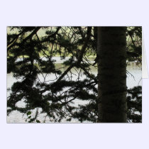Silver Lake Through Pine Branches cards