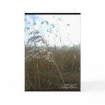 rushes, photo, photography, plant, yellow, spring,