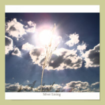Silver Lining posters