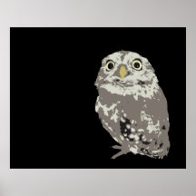 Silver Owl Poster