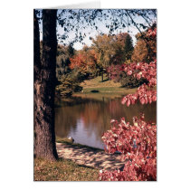 Silver Park in the Fall cards by pterandon Silver Park in the Fall cards