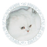 Silver Persian Cat Head Study Sticker