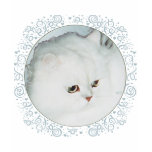 Silver Persian Cat Head Study T-shirts