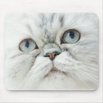 Silver Persian with Blue Eyes mousepads