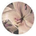 Silver Pink Lilly Wedding Invitation Seals stickers by naturalilly Silver Pink Lilly Wedding Invitation Seals stickers