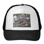 silver pink rose trucker hats