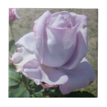 SILVER ROSE/PALE VIOLET TILE