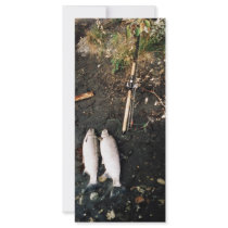 Silver Salmon or Coho Salmon Catch Rack Cards