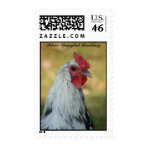 Silver Spangled Hamburg Rooster Stamps