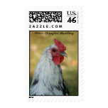Silver Spangled Hamburg Rooster Stamps