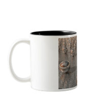 Silver Spheres Coffee Mug