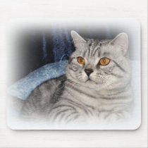 Silver spotted cat mouse pad mousepads