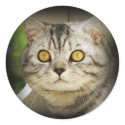 Silver spotted cat sticker
