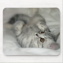 Silver spotted kitten mousepad