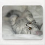Silver spotted kitten mousepad
