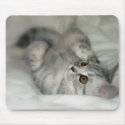Silver spotted kitten mousepad by mmersdesign Silver spotted kitten mousepad