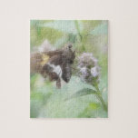 Silver-Spotted Skipper On Agastache Puzzles