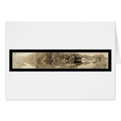 Silver Springs Florida Photo 1911 Cards by lc_panoramicphotos
