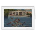 Silver Springs, Florida - View of Riverboat & cards
