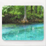 Silver Springs Mousepad