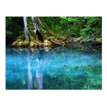Silver Springs River postcards
