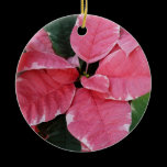 Silver Star Marble Poinsettia Ornament