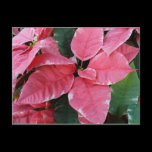 Silver Star Marble Poinsettia Postcard