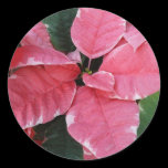 Silver Star Marble Poinsettia Sticker