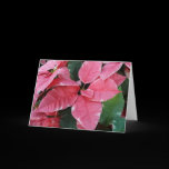 Silver Star Marble Poinsettias Card