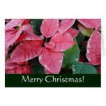 Silver Star Marble Poinsettias Christmas Card