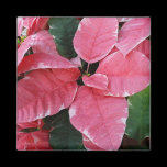 Silver Star Marble Poinsettias Magnet