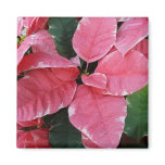 Silver Star Marble Poinsettias Magnet