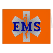 Silver Star of Life with Blue EMS Cards