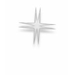 Silver Star t-shirts