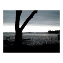Silver Streaks posters by shahbasharat Silver Streaks posters