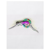 SILVER SWIMMER FULL COLOR FLYER