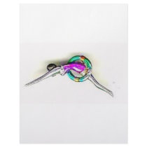 SILVER SWIMMER LETTERHEAD